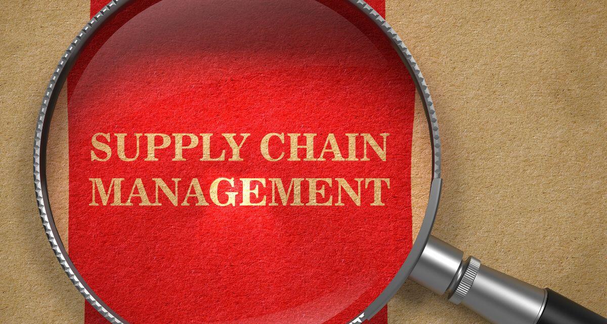 digBiz Podcast ep 17 | Supply Chain and Better CX Through Data | guest appearance on You Say Data, I Say Dayta