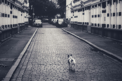 Sometime you need to rethink how you look measure your path